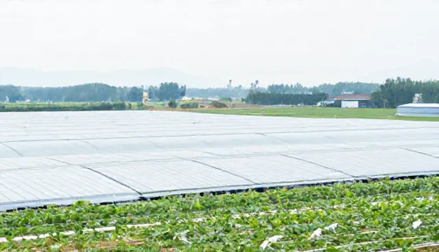 技术开发中技术支持选型的关注点与建议